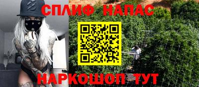 гидропоника Канаш