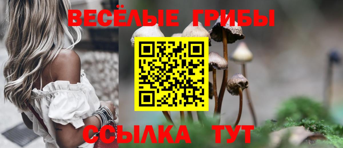 Галлюциногенные грибы MAGIC MUSHROOMS Магнитогорск